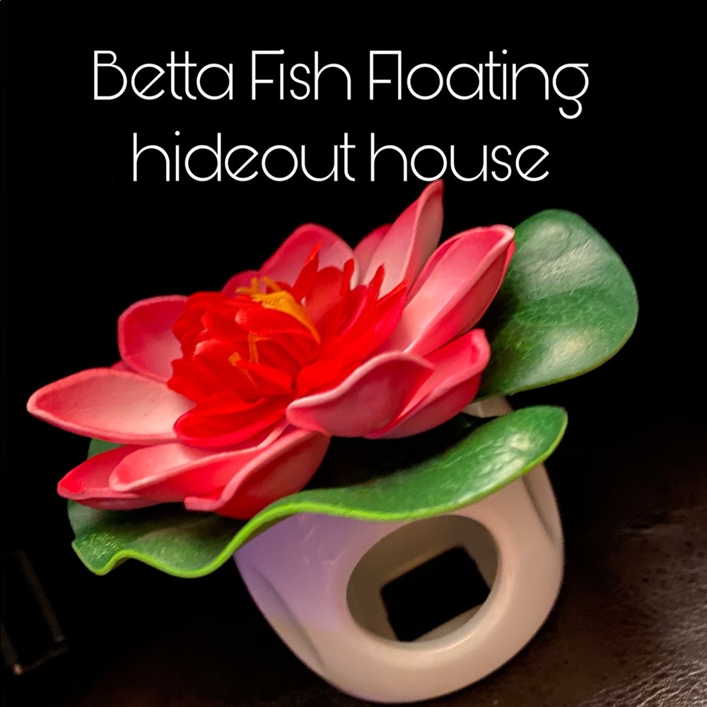 Betta floating hideout house